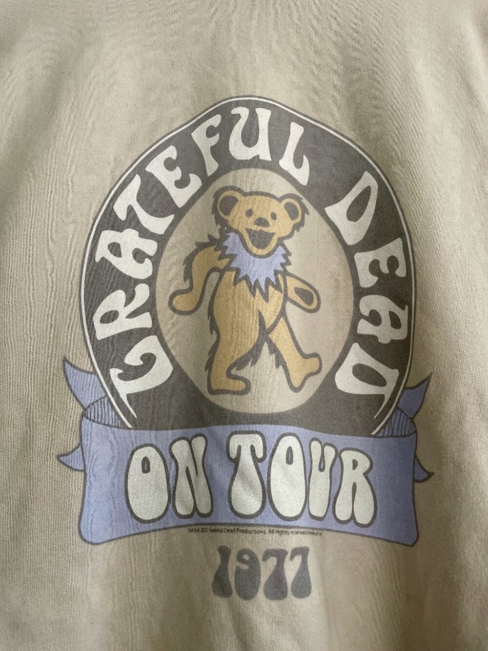 Grateful Dead 1977 Tour Sweatshirt – Abercrombie & Fitch Soft A&F Collection (L) - Picture 2 of 6